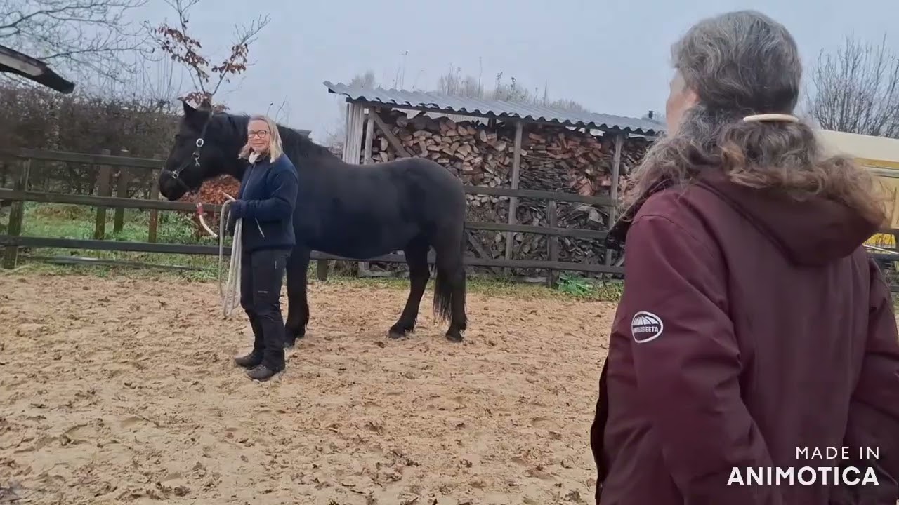 Vertrouwen en verbinding: Paardencoach sessie met Adriana en Quincy