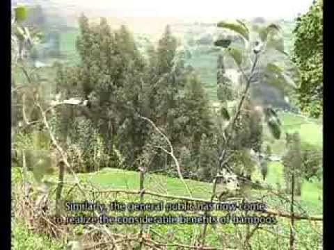 Guna Mountain: Restoring the Water Tower Demonstration Project