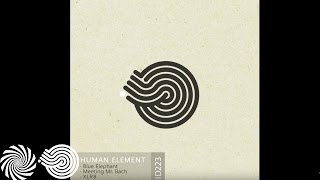 Video thumbnail of "Human Element - Blue Elephant"