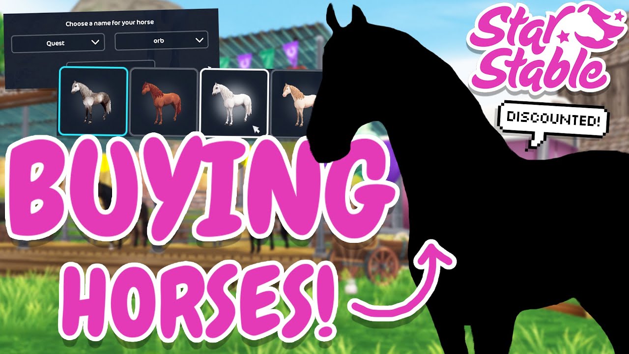 buying-discounted-horses-shopping-spree-star-stable-youtube