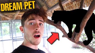 Meeting My DREAM PET!!! (CRAZY)