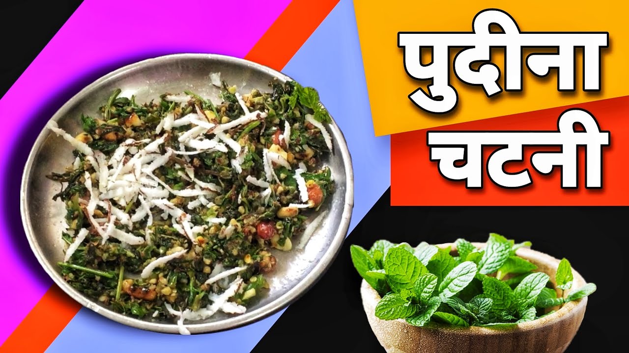 पुदीना चटनी रेसिपी Pudina Chutney Recipe In Marathi पुदीना रेसिपी