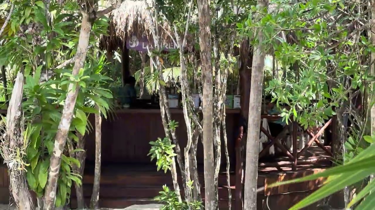 Kuza Beach in Cozumel. 1-22-2026. Mariner Of the Seas. 