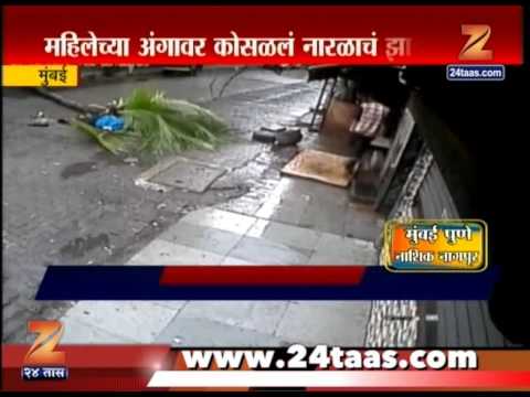 Chembur | Swastik Park | Lady Died After Coconut Tree Fall On Her