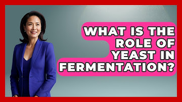 What Is The Role Of Yeast In Fermentation? - The World of Agriculture