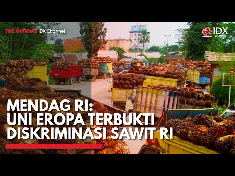 Layanan Internet Indonesia: Tren Pertumbuhan Pesat