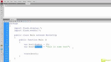 ARMdesign.nl - Actionscript 3.0 Basic  Lesson 2 Variables