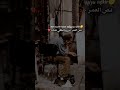 نص العمر حلم والباقي تفكير