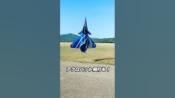 2万ドルのラジコン戦闘機