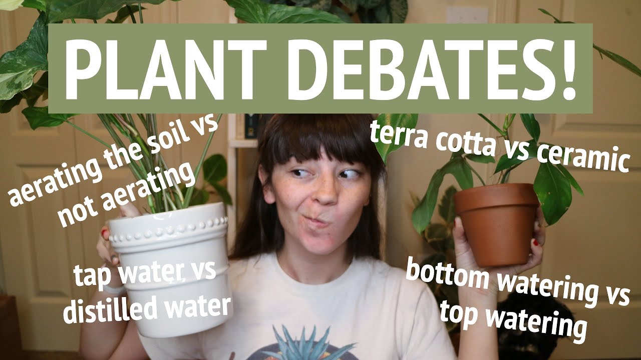 MY OPINIONS ON COMMON PLANT DEBATES