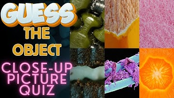 Guess the Zoomed in Image ¦ Close Up Picture Quiz 🔬