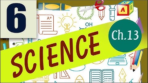 Class 6 Science chapter 13 Fun with Magnets revision 3 december 2020