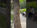 Hà Nội niềm tin và Hy vọng