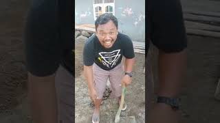 niat ingsun golet duit Dina Rebo #shorts #tarmin