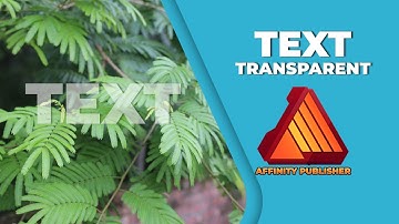 How to make text transparent in affinity publisher windows