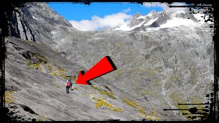 BEST Day Hike in New Zealand's Fiordland National Park 🇳🇿 Gertrude Saddle