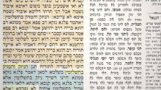 מסכת בבא קמא דף ט״ו 15