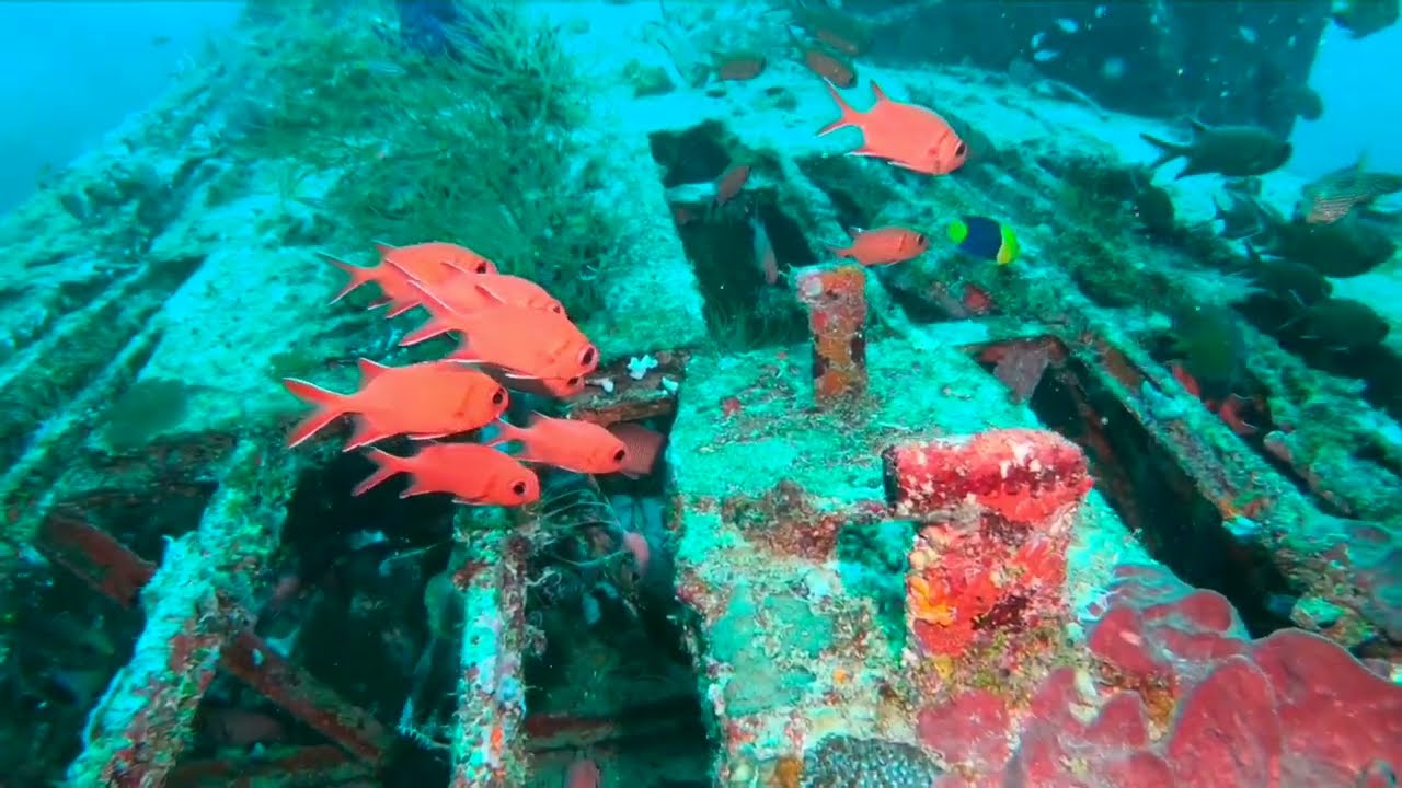 Catalina The Wreck Plane (4K) - Biak Papua Indonesia