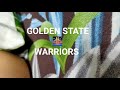 Golden State Warriors Win Song Fake