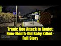 Devastating Dog Attack in Rogiet: Baby's Life Tragically Lost at 9 Months 🐶💔