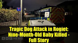 Tragic Dog Attack in Rogiet: Nine-Month-Old Baby Killed - Full Story