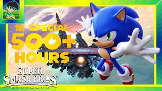 Endless Possibility - 500 Hour Sonic