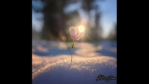 مَنْ عَمِلَ صَالِحًا مِّن ذَكَرٍ أَوْ أُنثَىٰ _ من سورة النحل || عبد الرحمن مسعد