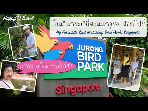 Lovely moment @Jurong Bird Park Singapore โดน"นกรุม"ที่สวนนกจูรง สิงคโปร์ I HAPPY O TV