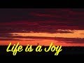 Life is a Joy #194 Harvest Host Canyon TX