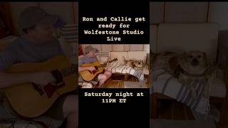 Callie the Cattle Dog auditioning for Wolfestone Studio Live