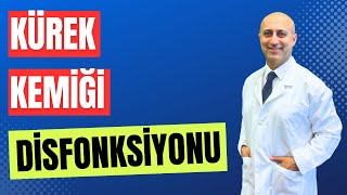 Kürek Kemiği Disfonksiyonu Resimi