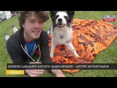 მარტივი სამსახური მაღალი ანაზღაურებით - სელფი ცხოველებთან