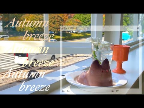 전포 어도먼트 푸냥이/스타벅스 크리스마스 메뉴/중앙동 리콰이얼먼트커피브루얼스
