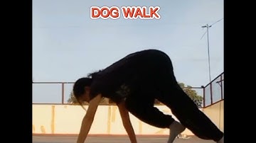 PERFORMANCE TASK IN P.E: INDIVIDUAL STUNTS AND TUMBLING SKILLS