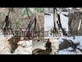 Deer Hunting New England (NH) 4 Days: The Big 8 Deer Hunting New England (NH) 4 Days: The Big 8