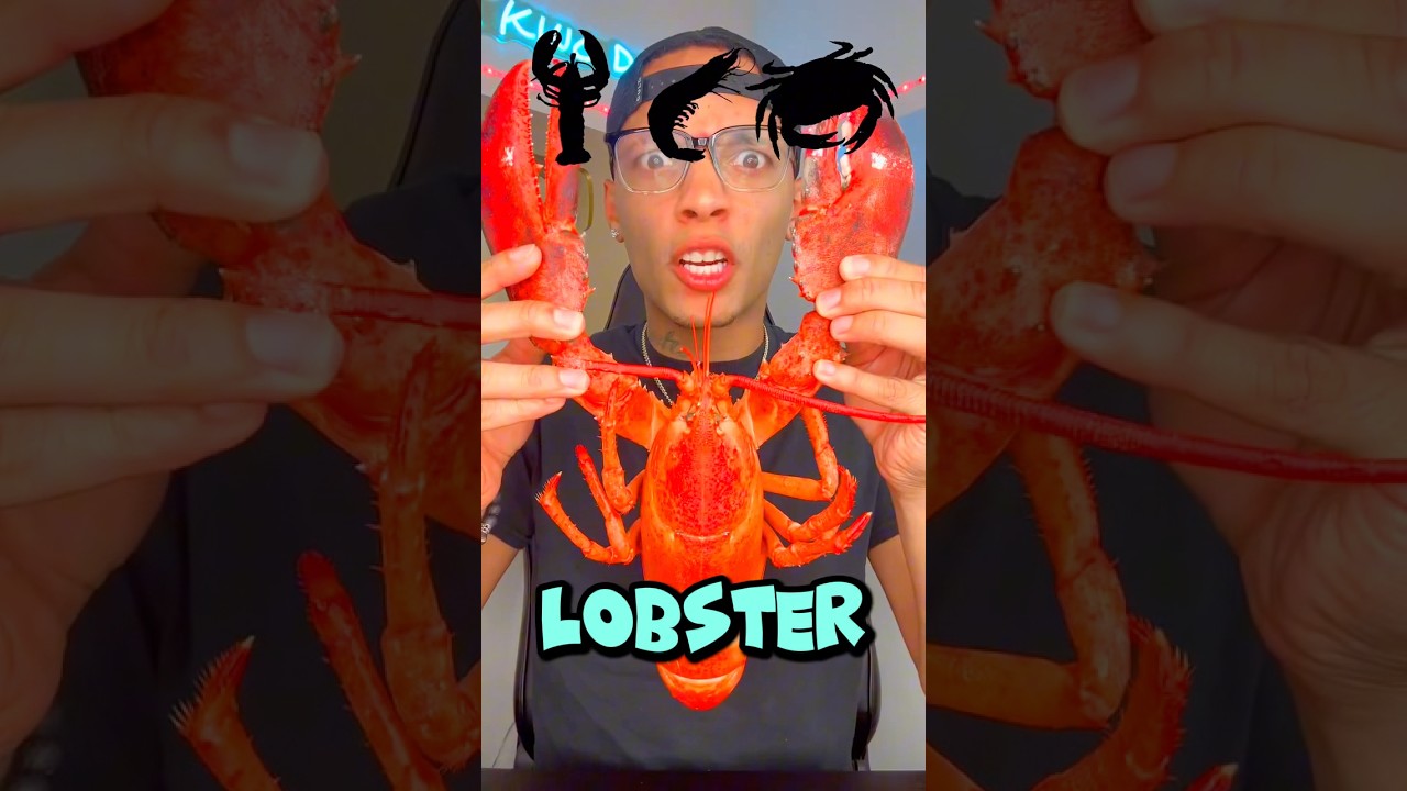 Eating World’s Largest Food!! 🤯