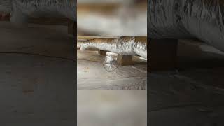 Vapor Barrier: Crawl Space Humidity Control