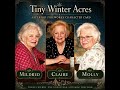 Meet the Characters of Moon Dancer