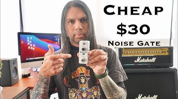Rowin Noise Gate pedal review