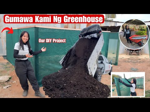 Simula Na Kami Mag Tanim Sa Aming Backyard|At Gumawa Ng Greenhouse 