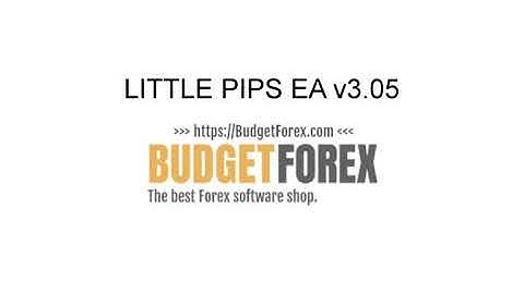 Little Pips EA Backtest Results & Best Settings