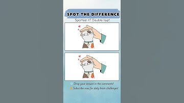 Only 1% Can Spot the Difference in This Cute Cat Moment! 🐱🤚❤️