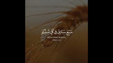 القارئ سعد الغامدية البقرة (٢٦١)SDAL-GHAMDI SURAT AL-BAQARA | AYAH [261]