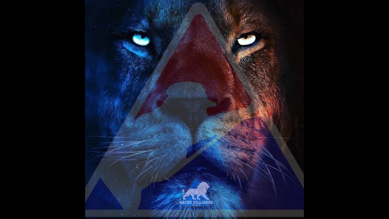 BARBOX RANKED MATCH #65 John Hamel vs # 66 Howard Hale