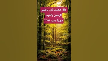 مشهد رائع مع آيات أجمل...#اكسبلور #قرآن #tutorialfilter #afterlife #قرآن_كريم #تيك_توك #death #قراءة