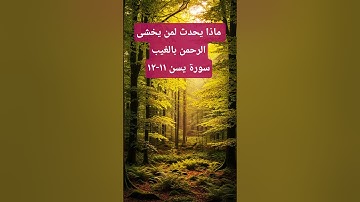 مشهد رائع مع آيات أجمل...#اكسبلور #قرآن #tutorialfilter #afterlife #قرآن_كريم #تيك_توك #death #قراءة