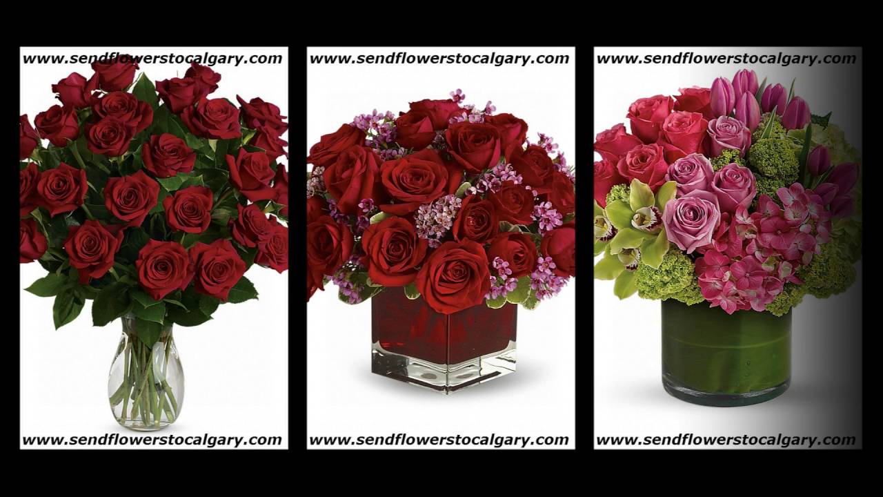 Send Flowers from Florida, USA to Calgary, Alberta, Canada