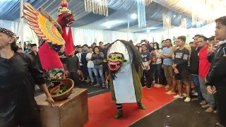 Download lagu Ganas Macan macanan Barong tresno Budoyo Kemiren live jambesari