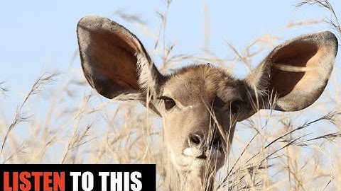 In Order to Change Your Life, YOU NEED TO LEARN THIS FIRST!