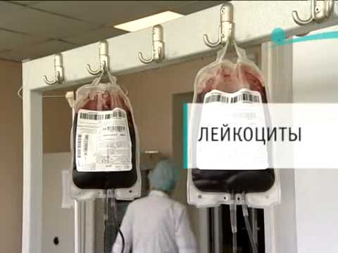 Зачем сдавать кровь? Зачем сдавать кровь?